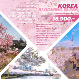 ทัวร์เกาหลี KOREA BLOOMING BLESS   - บริษัท ดับเบิล ชายน์ ทราเวล จำกัด