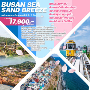 ทัวร์เกาหลี BUSAN SEA SAND BREEZE - บริษัท สตาร์ พลัส ทริปส์ จำกัด