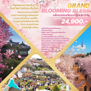 ทัวร์เกาหลี GRAND BLOOMING BLESS - บริษัท ด็อกเตอร์ ออน ทัวร์ เทรเวิล แอนด์ เอเจนซี่ จำกัด