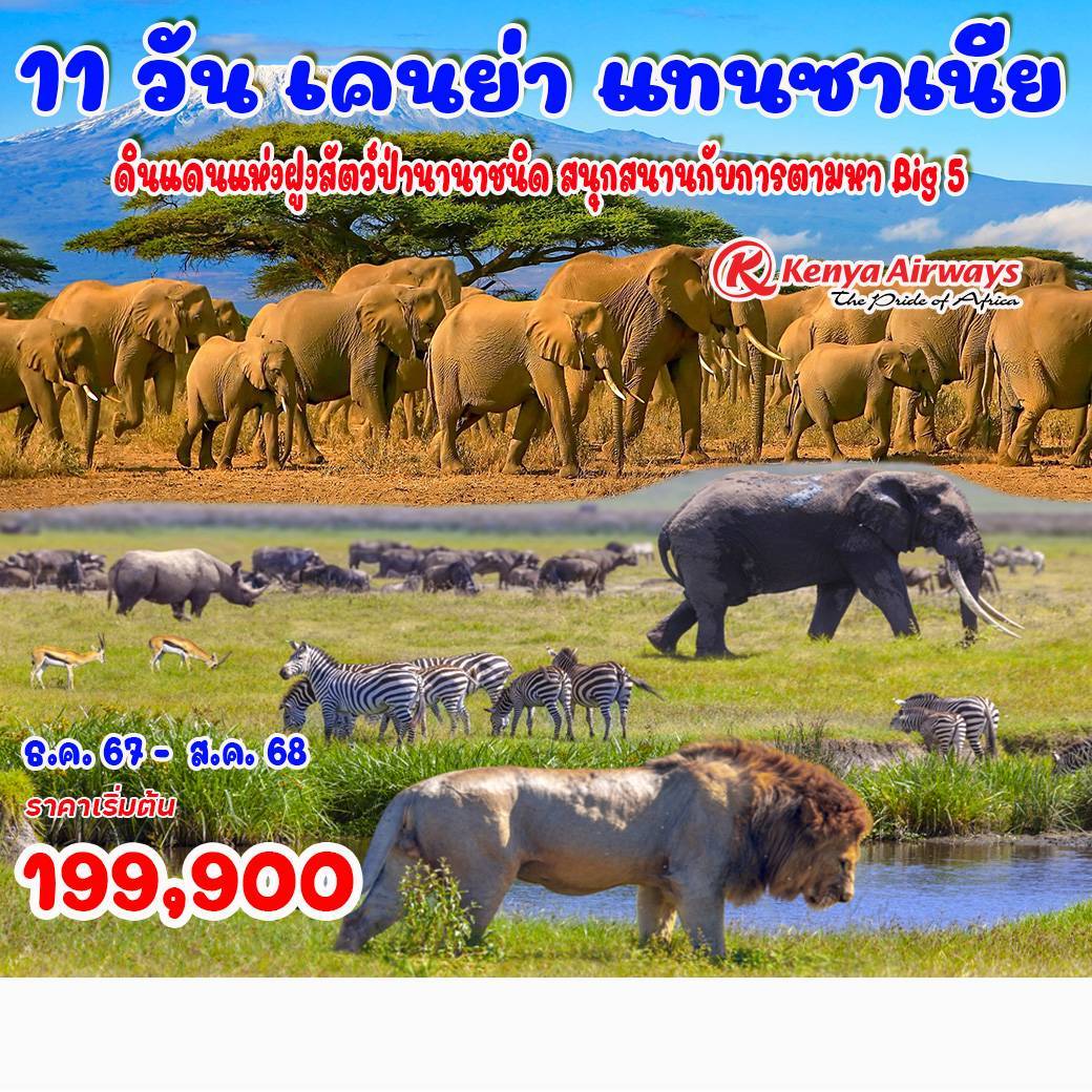 ทัวร์เคนย่า แทนซาเนีย ดินแดงแห่งฝูงสัตว์นานาชนิด สนุกสนานกับการตามหา Big5 - SAWASDEE THAILAND TRAVEL