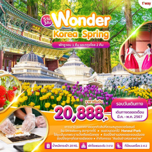 ทัวร์เกาหลี Wonder Korea Spring - บริษัท ดับเบิล ชายน์ ทราเวล จำกัด