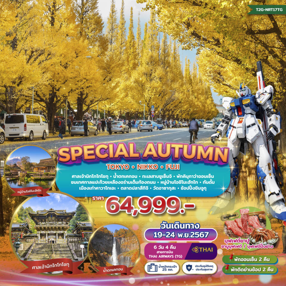 ทัวร์ญี่ปุ่น SPECIAL AUTUMN…TOKYO NIKKO FUJI GINKO FESTIVAL -  ประสานเวิลด์ทัวร์