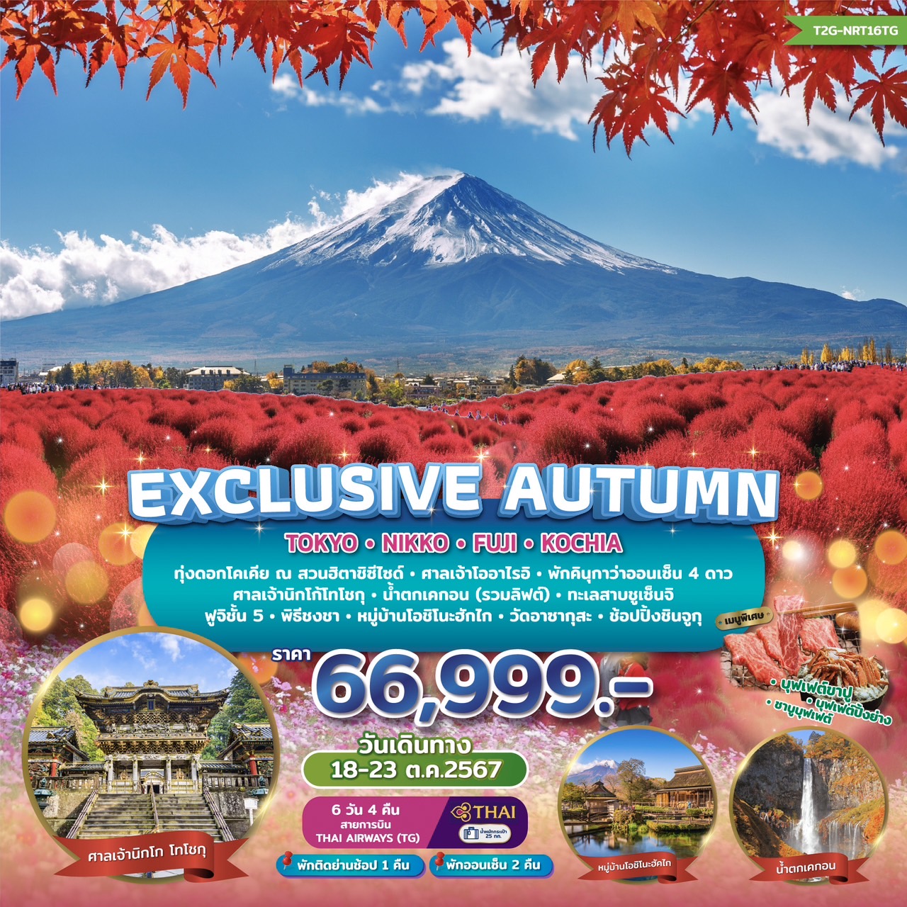 ทัวร์ญี่ปุ่น EXCLUSIVE AUTUMN TOKYO FUJI NIKKO KOCHIA   - Sunsmile Booking and Travel Service