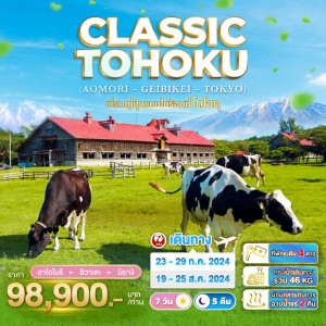 ทัวร์ญี่ปุ่น CLASSIC TOHOKU (AOMORI – GEIBIKEI – TOKYO) - บริษัท ดับเบิล ชายน์ ทราเวล จำกัด