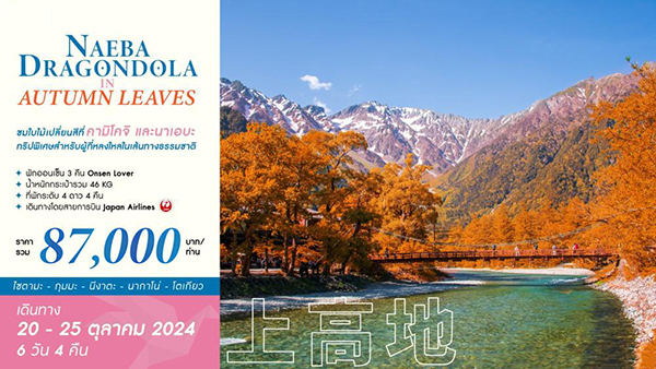 ทัวร์ญี่ปุ่น NAEBA DRAGONDOLA IN AUTUMN LEAVES - Sunsmile Booking and Travel Service