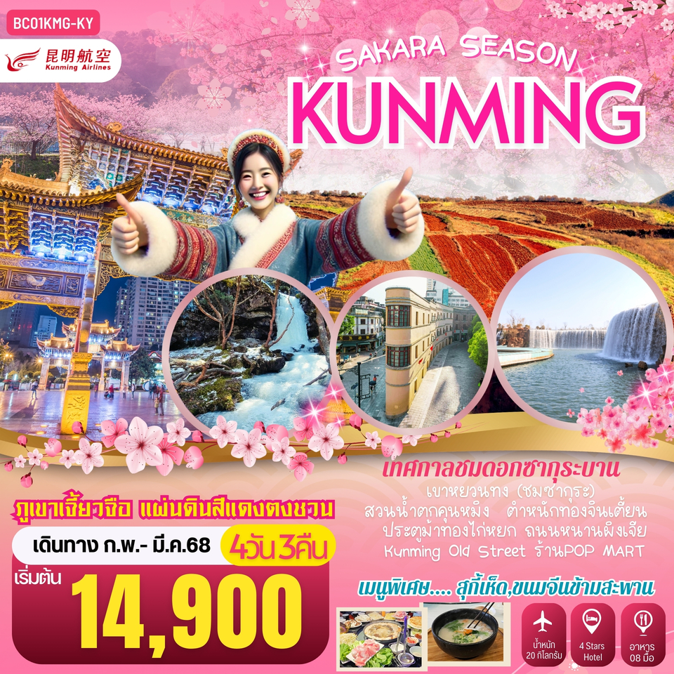 ทัวร์จีน SAKURA SEASON KUNMING คุนหมิง ภูเขาหิมะเจี้ยวจื่อ แผ่นดินสีแดงตงชวน - Punyim tour