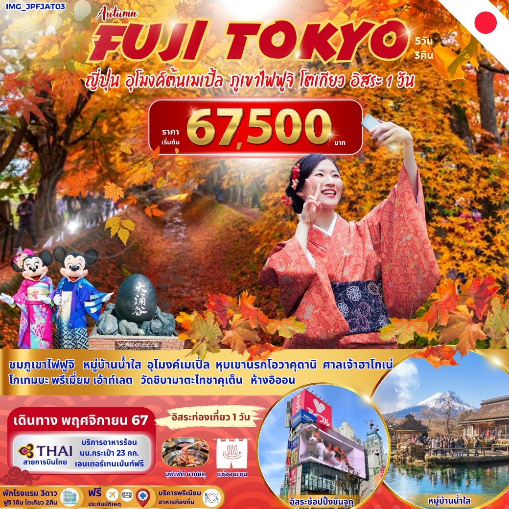 ทัวร์ญี่ปุ่น FUJI TOKYO ญี่ปุ่น อุโมงค์ต้นเมเปิ้ล ภูเขาไฟฟูจิ โตเกียว อิสระ 1 วัน - Punyim tour