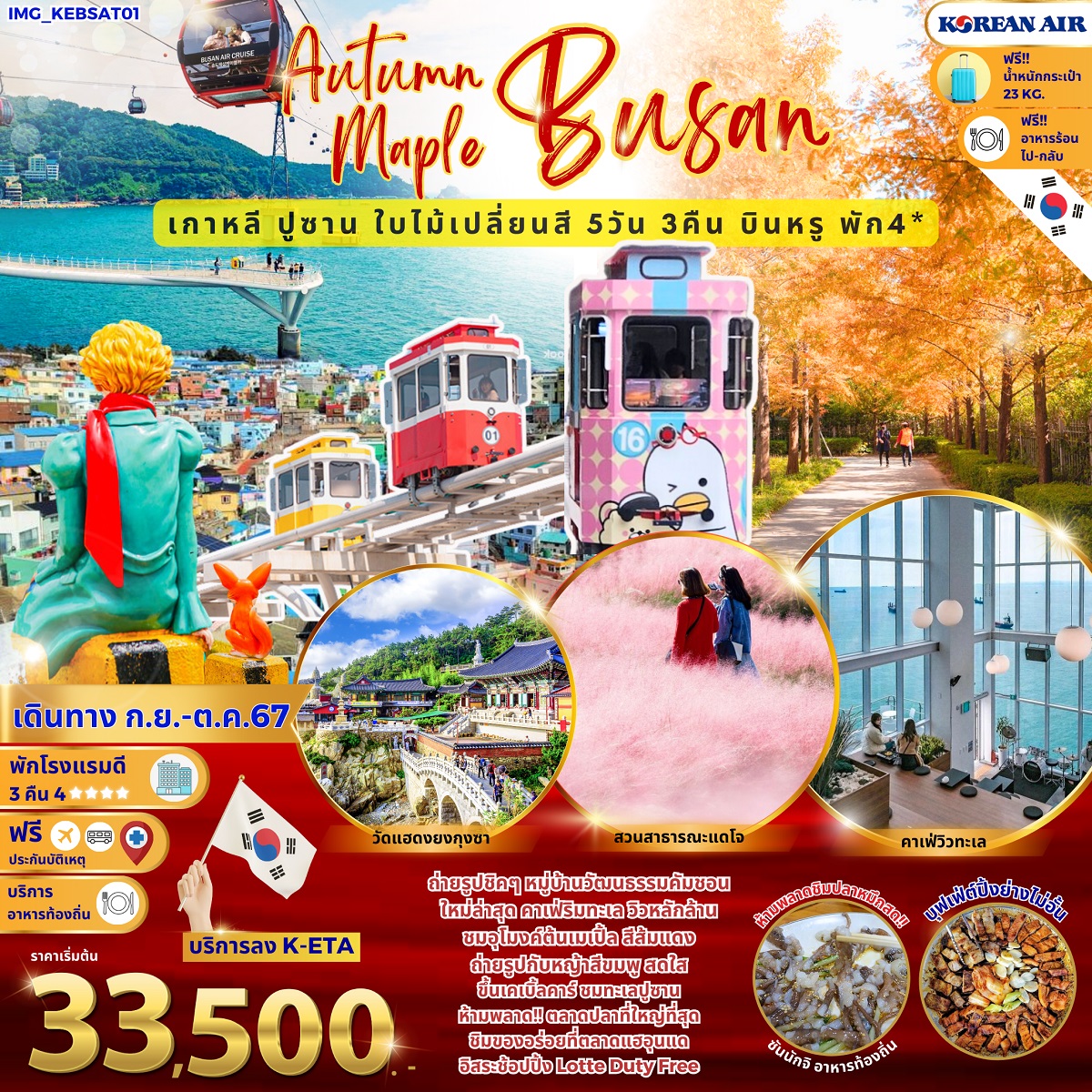 ทัวร์เกาหลี Autumn Maple Busan เกาหลีปูซาน ใบไม้เปลี่ยนสี  - Sunsmile Booking and Travel Service