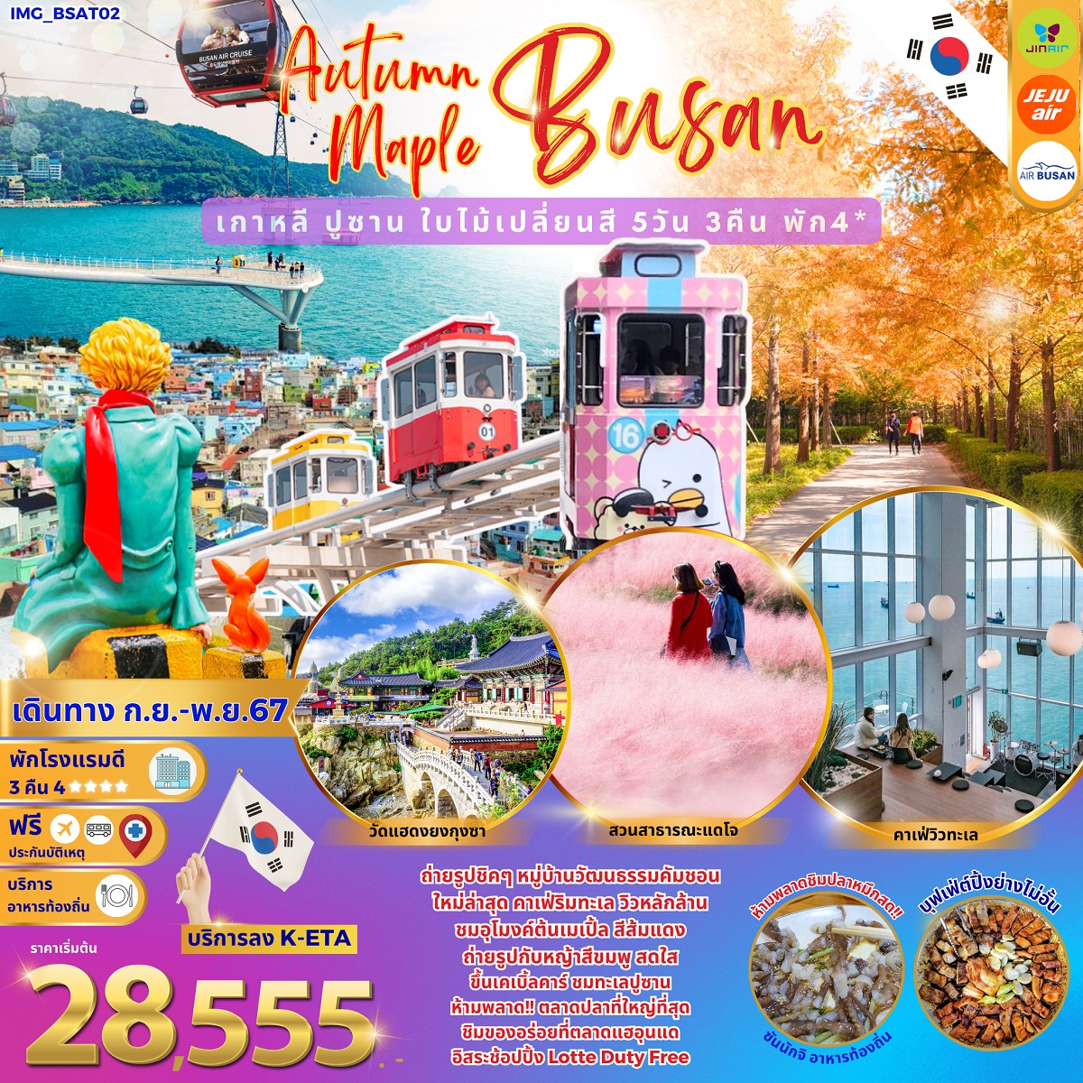 ทัวร์เกาหลี Autumn Maple Busan เกาหลีปูซาน ใบไม้เปลี่ยนสี - 34/02988