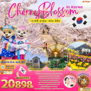ทัวร์เกาหลี Cherry Blossom in Korea - บริษัท พราวด์ ฮอลิเดย์ แอนด์ ทัวร์ จำกัด