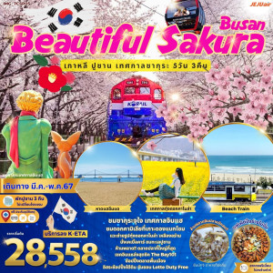 ทัวร์เกาหลี ปูซาน เทศกาลซากุระ  - B2K HOLIDAYS