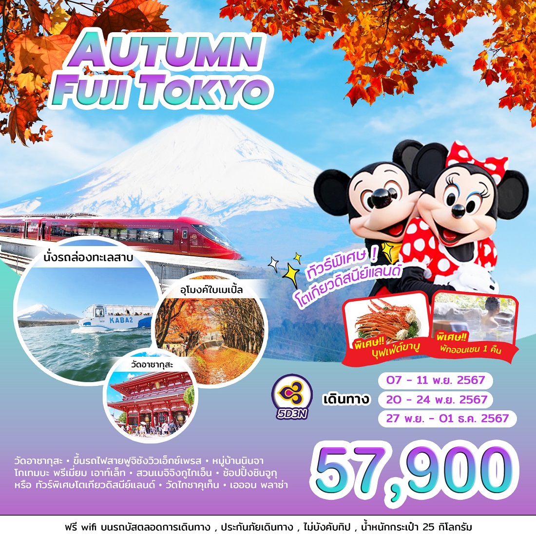 ทัวร์ญี่ปุ่น AUTUMN FUJI TOKYO - Punyim tour