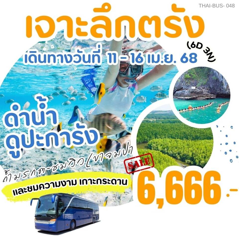 ทัวร์ตรัง เจาะลึกตรัง ดำน้ำ ดูปะการัง ถ้ำมรกต ชมวิวเขาจมป่า - 