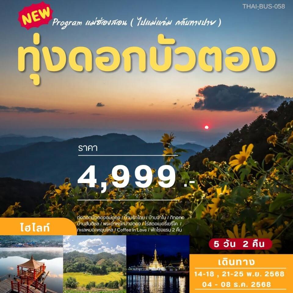 ทัวร์แม่ฮ่องสอน Program แม่ฮ่องสอน (ไปแม่แจ่ม กลับทางปาย) ทุ่งดอกบัวตอง - 