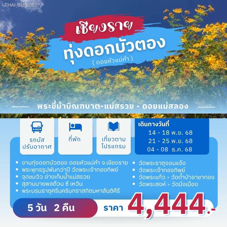 ทัวร์เชียงราย ทุ่งดอกบัวตอง (ดอยหัวแม่คำ)  - 