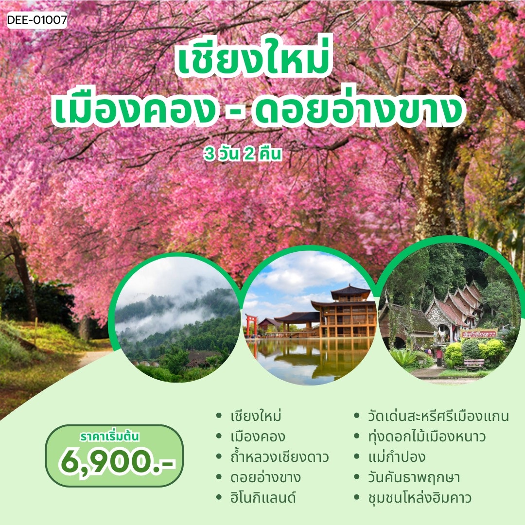 แพ็คเกจทัวร์เชียงใหม่ เมืองคอง ดอยอ่างขาง - 