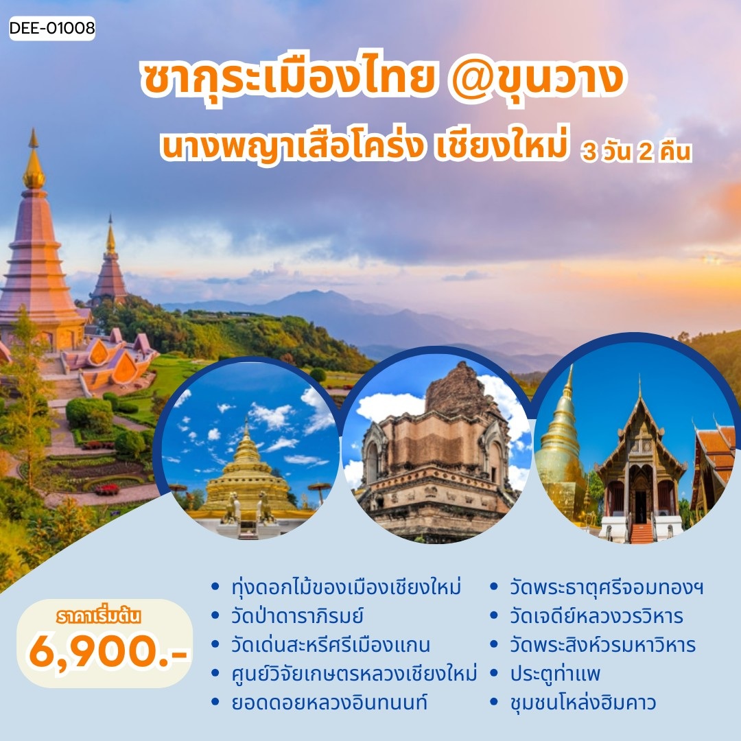 แพ็คเกจทัวร์เชียงใหม่ ซากุระเมืองไทย @ขุนวาง นางพญาเสือโคร่ง เชียงใหม่  - 