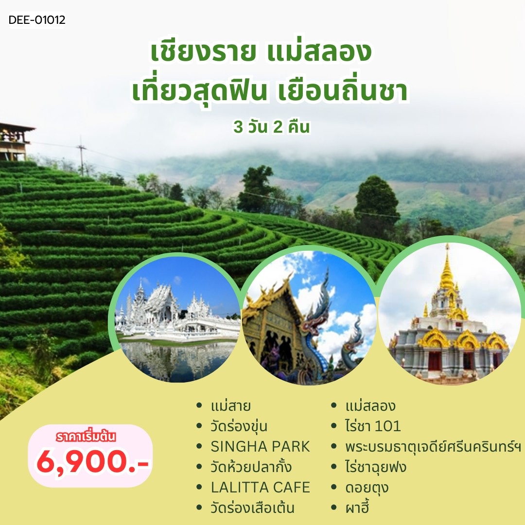แพ็คเกจทัวร์เชียงราย แม่สลอง เที่ยวสุดฟิน เยือนถิ่นชา - 