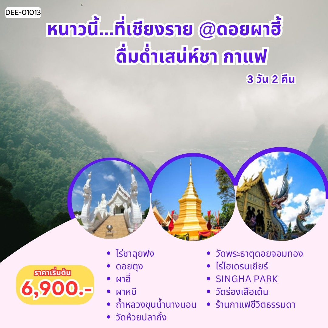 แพ็คเกจทัวร์เชียงราย หนาวนี้...ที่เชียงราย @ดอยผาฮี้ ดื่มด่ำเสน่ห์ชา กาแฟ - 