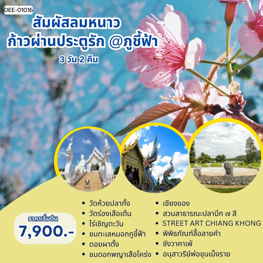แพ็คเกจทัวร์เชียงราย สัมผัสลมหนาว ก้าวผ่านประตูรัก @ภูชี้ฟ้า - 
